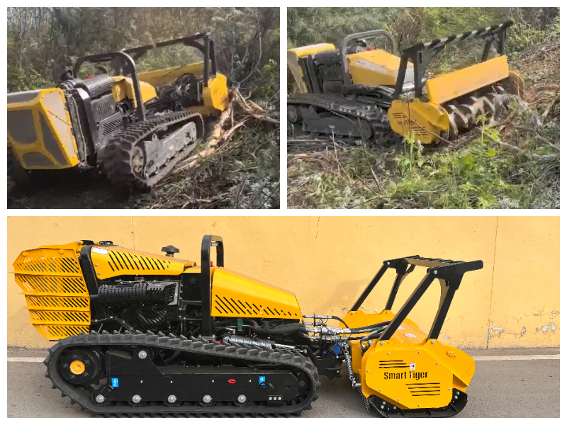 Disboscamento e pacciamatura del terreno